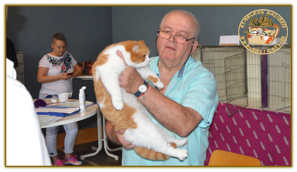Mr. Ireneusz Pruchniak (PL) - 02.06.2018