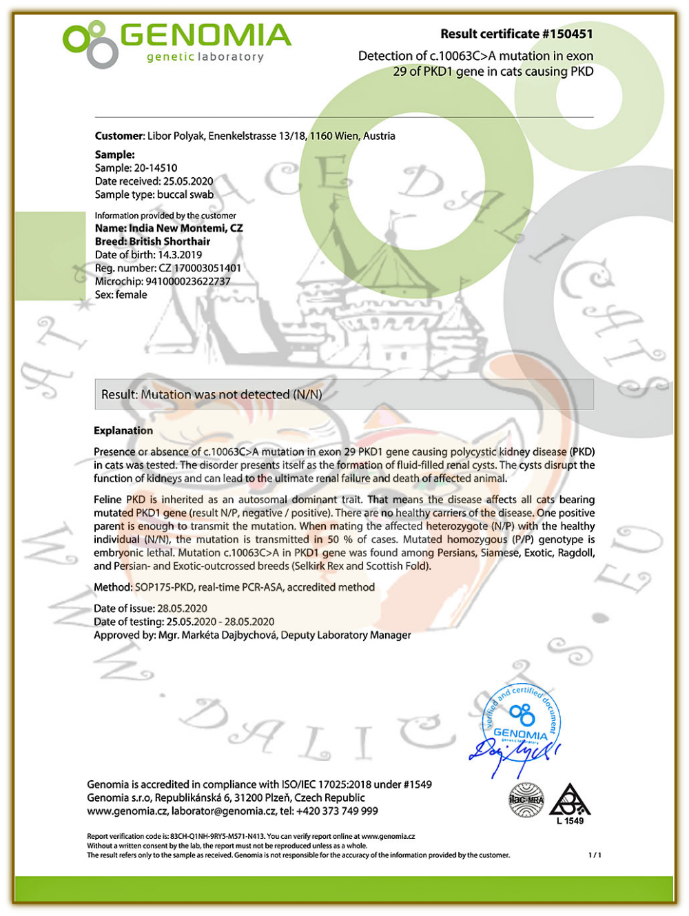 India - PKD - negative