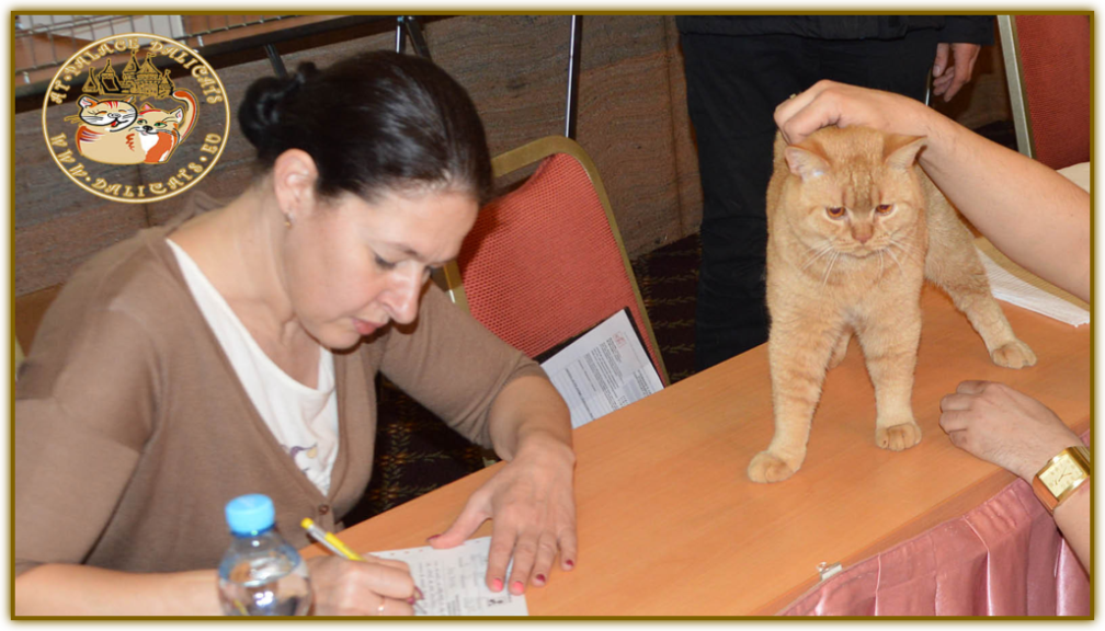 Brno (CZ) - Mrs. Marina Vinkel (EE) - 24.04.2016